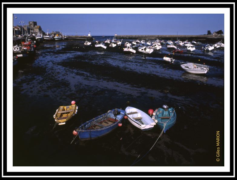 Barfleur à marée basse