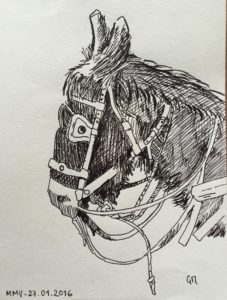 Un âne