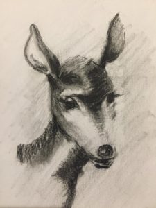 Biche - Pierre noire